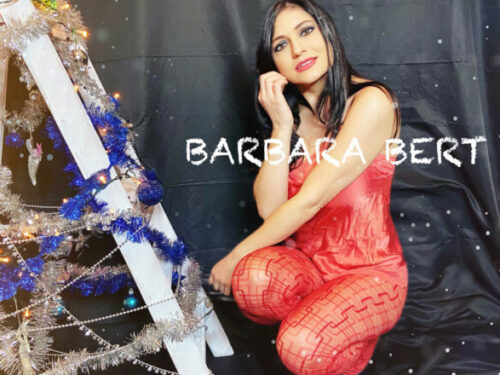 I Sogni Di Natale il nuovo progetto di Barbara Bert